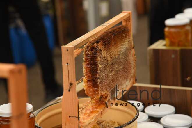 Baku hosts 23-rd Honey Fair Azerbaijan Baku October 03 2023